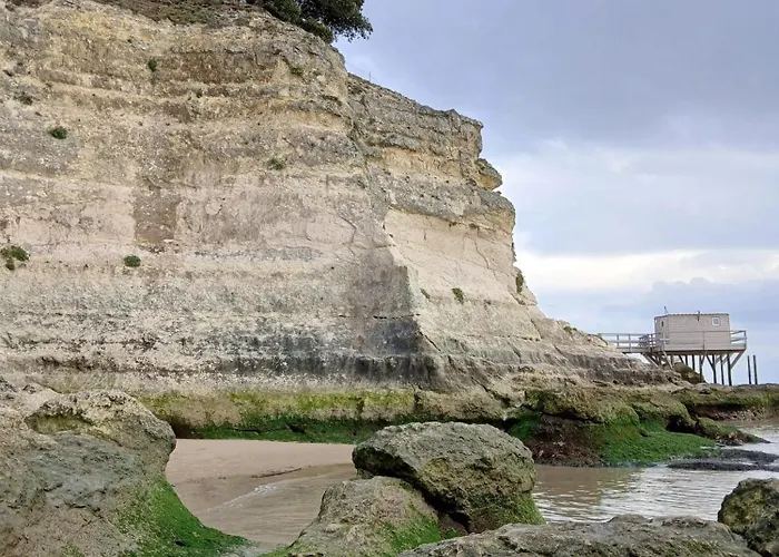De 2 Avec Piscine Partagee Jardin Clos Et Wifi A Sur Gironde Meschers-sur-Gironde